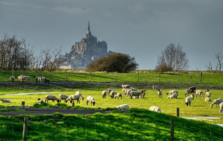 Normandia, Bretagna & Loira Image