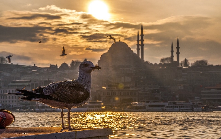ISTANBUL Image
